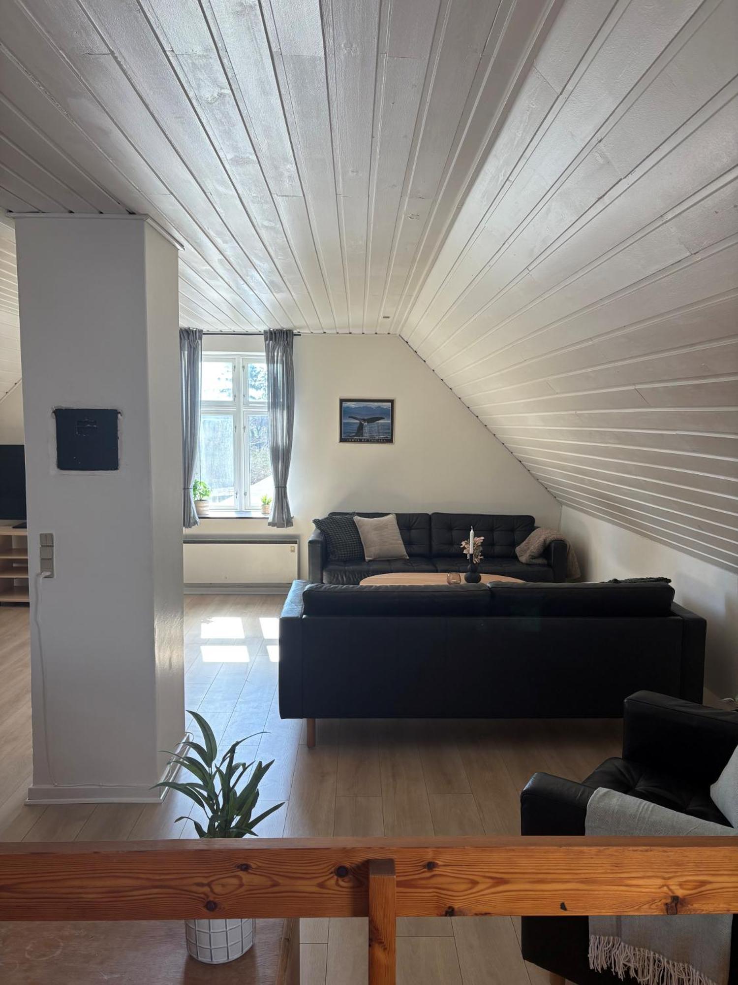 Djursland Lystrup Strand Ferieboliger Allingåbro المظهر الخارجي الصورة